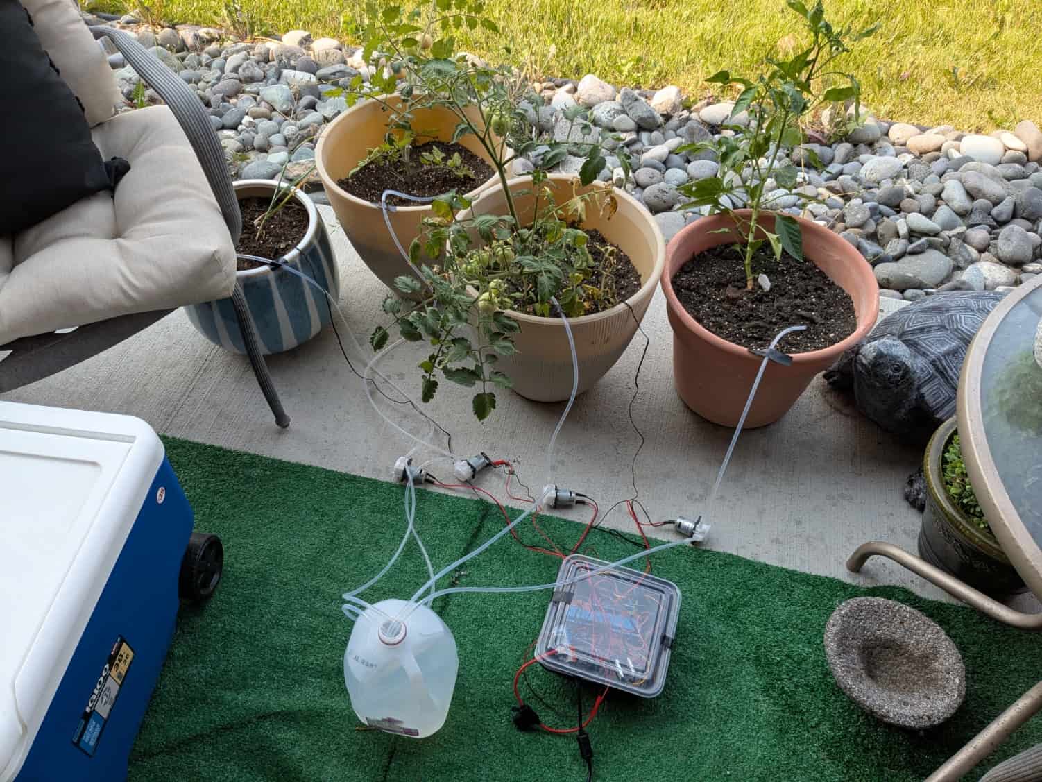 Plants with sillicone tubing connecting them to a gallon of water and pumps; electronics box connected to DC power converter plugged into extension cord 